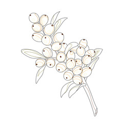 branch of a tree,
tattoo art