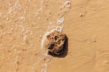 Porous rock in the wet sand of Garrão beach, Vale do Lobo, Algarve