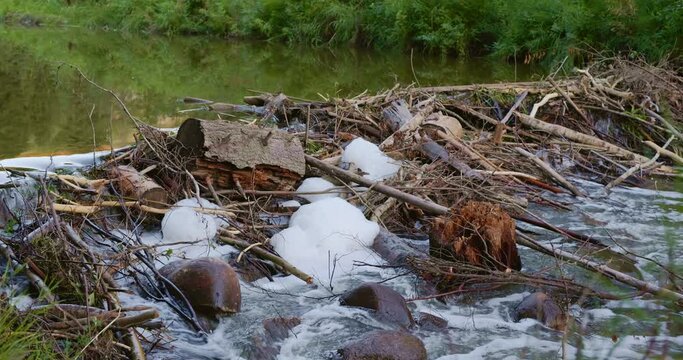 water flowing through a beaver dam with foam forming 