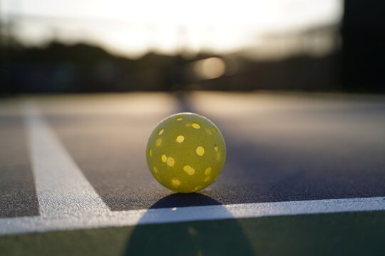 Pickleball Paddle Photos Download The BEST Free Pickleball Paddle Stock  Photos  HD Images