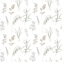 Watercolor  summer field herbs seamless pattern. Botanical nature print on white background
