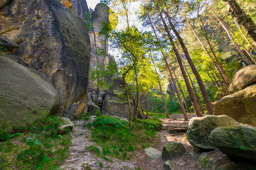 rock formatations in the forest (Saxon Switzerland)