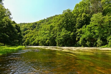 Beautiful summer landscape with river, forest, sun and blue skies. Natural colorful background. Jihlava River. Czech Republic - Europe.