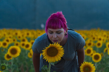 mujer oliendo girasoles en el campo, mujer de cabello rosa oliendo flores amarillas, niña de pelo...