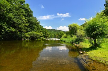 Fototapeta premium Beautiful summer landscape with river, forest, sun and blue skies. Natural colorful background. Jihlava River. Czech Republic - Europe.