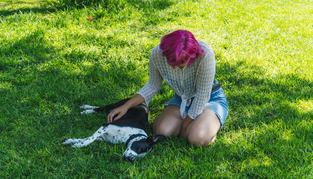 perro tumbado en el césped y siendo acariciado por su dueña, mujer de pelo rosa adiestrando a su perro, perro durmiendo en el parque