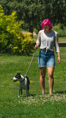 Naklejka na ściany i meble Mujer de pelo rosa paseando a su perro por el césped, perro blanco con manchas negras con su dueño en el parque, perro atado con correa en un paseo por el campo, adiestrando a un perro 