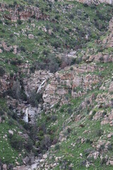 Monsoon Waterfalls In The Catalina's 