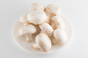 premium champignon mushrooms isolated