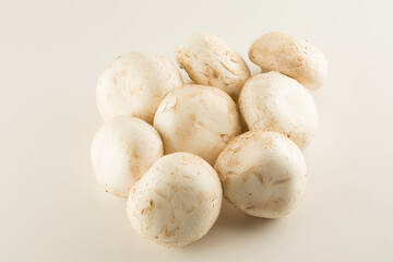 premium champignon mushrooms isolated
