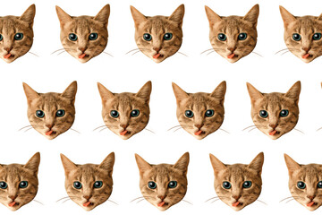 Set of adorable cat faces pattern. World cat day. Minimal collage fashion concept