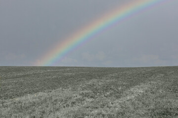 beautiful rainbow over the field