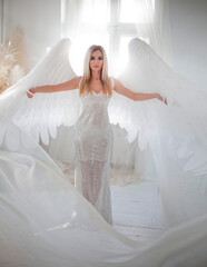Beautiful female with angel wings in studio 