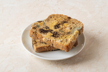Moldy bread on a saucer. Different kinds of bread mold. Two slices of wheat rye bread with green, yellow and black fungal mold. Moldy fungus on spoiled bread. Mildew on rotten bread. Food waste.