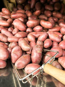 Asterix potatoes for sale in supermarket.