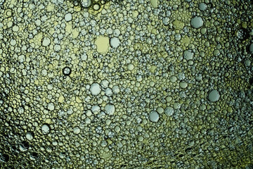 Macro Close Up Photo of Colourful Bubbles for Background, Pattern and Graphic Elements