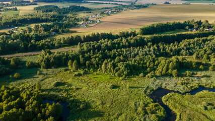 Aerial photograph vibrant green tree canopy natural forest background. View of pine forest from above. Nature concept.