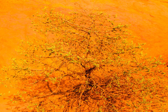 F/Provence/Rustel: Le Colorada Proven&ccedil;al im Luberon