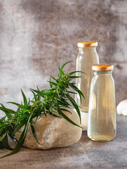 Two bottles of sparkling water with cannabis extract and adaptogens and a green plant lying on a stone. A drink that reduces stress and anxiety..