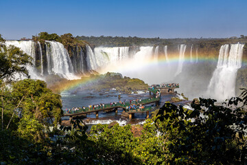 waterfall in the forest