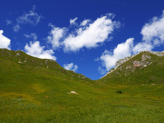 Fototapeta na wymiar idilliaca vista di verdi vallate in montagna d'estate