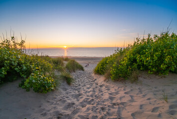 Fototapety na wymiar - Fototapeta24.pl