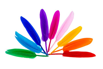 Multicolor feathers isolated on the white background