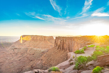 Canyon sunset with a blue sky, streaking white clouds, and green flowers in the foreground 