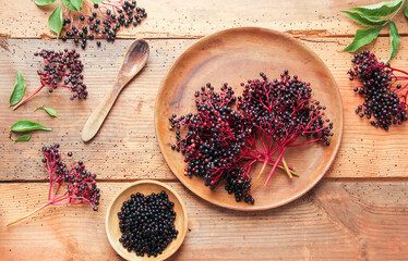 schwarze Holunderbeeren Holunder Beeren Fliederbeeren 