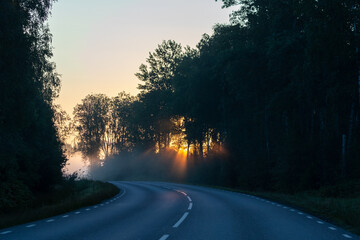 Road bend on early morning with mist and sun shining through the trees