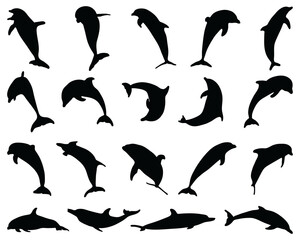 Black silhouettes of dolphins on a white background