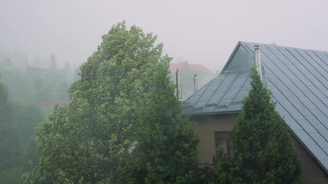Blowing wind rain storm damage tree. Bad weather storm city. Heavy rain and strong wind blowing trees. Downpour, storm wind gust. Rainstorm. Stormy weather city flood street rain shower. Rainy weather