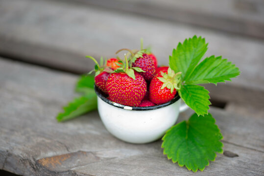 green leaves and large strawberries in a white mug