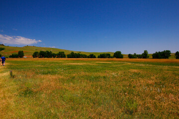 Obraz premium Views at Custer State Park, South Dakota