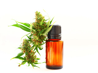 Fototapeta premium cbd oil cannabis