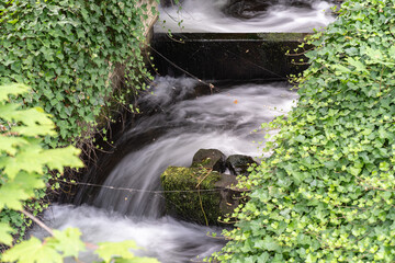 A stream flowing in meanders. August 2021.