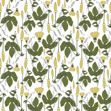 Seamless botanical light pattern with pasiflora flowers
