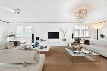 Elegant and spacious living room with beautiful furniture