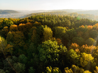 Obraz premium Aerial view of autumn forest with green and yellow trees. Mixed deciduous and coniferous forest. Beautiful fall scenery near Vilnius, Lithuania