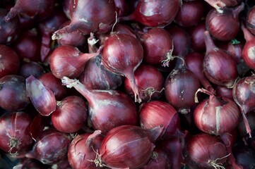 red onions at market