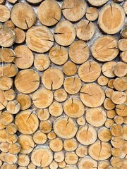 stack of firewood background 