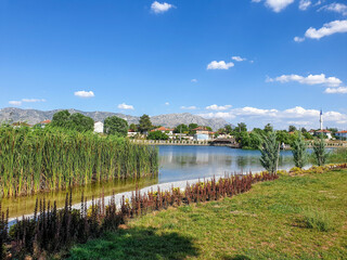 landscape with lake