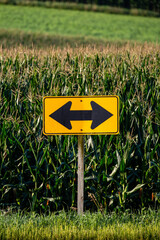 Road sign with arrows pointing in opposite directions next to a cornfield