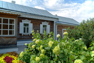 A flowerbed with hydrangea arborescens on the background of an old wooden house with carved shutters. Sky with clouds. Summer. Daylight.