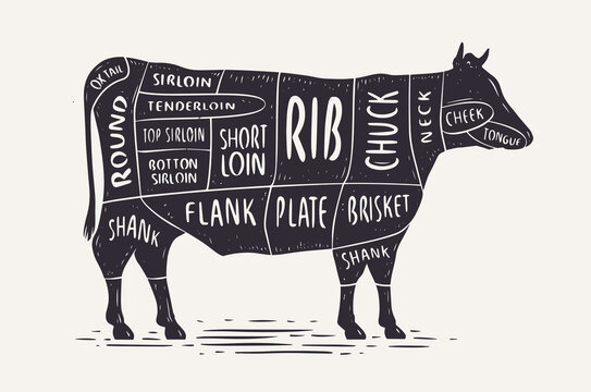 Beef Cuts Chart Images – Browse 1,758 Stock Photos, Vectors, and