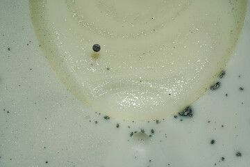 Macro Close Up Photo of Abstract Minimalistic Artwork with Milk and Paint