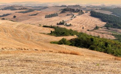 Fototapeta na wymiar Hügelige Weite der Crete Senesi