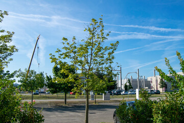 Obraz premium Cranes and lifts carrying concrete walls for installation on a warehouse and office construction site