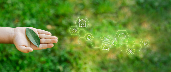 Child's hand holding a leaf with icons of renewable and sustainable development. sustainable development.