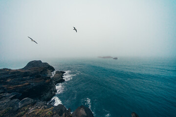Iceland ocean beach cliffs